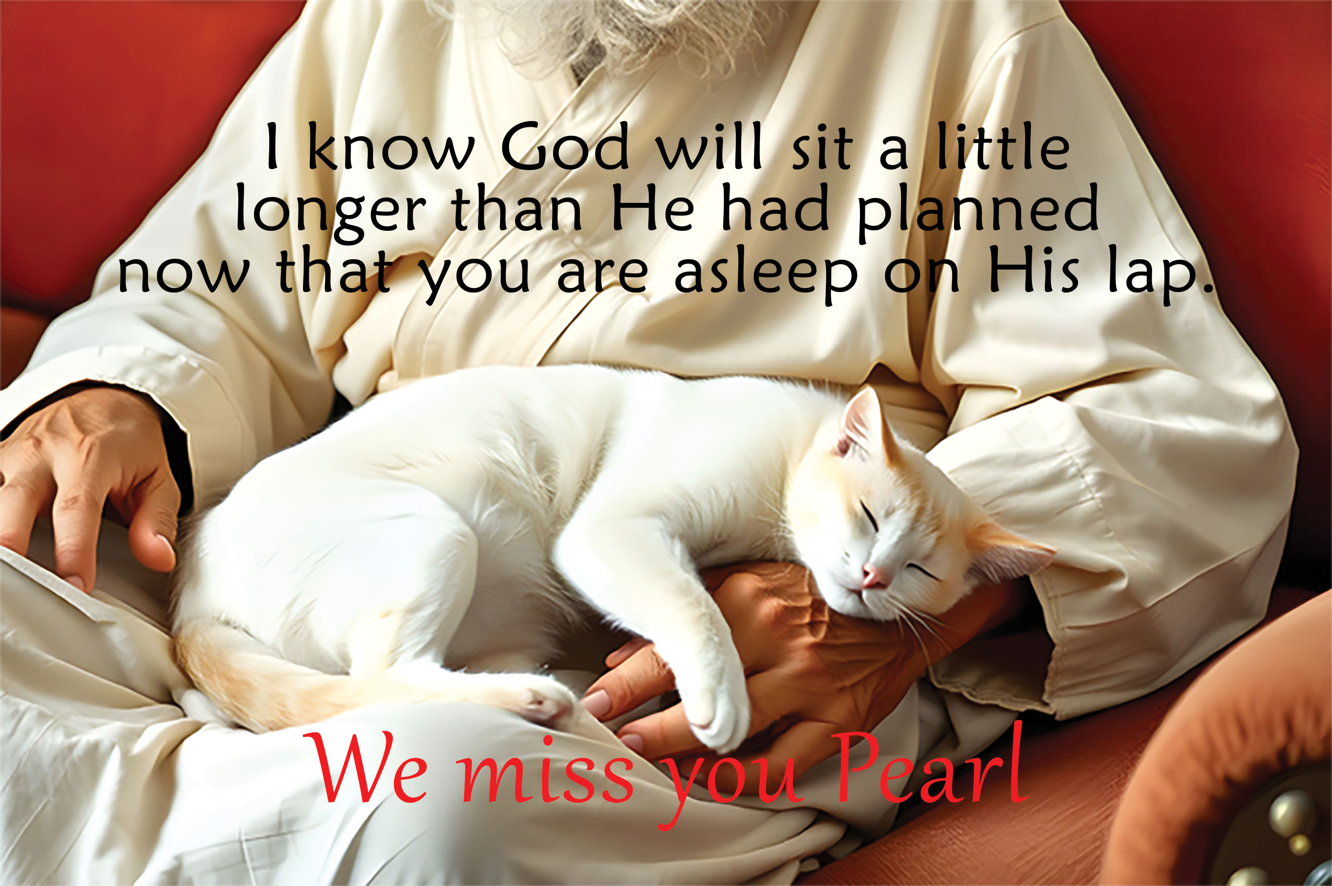 In God's Lap Black Cat Aluminum Print